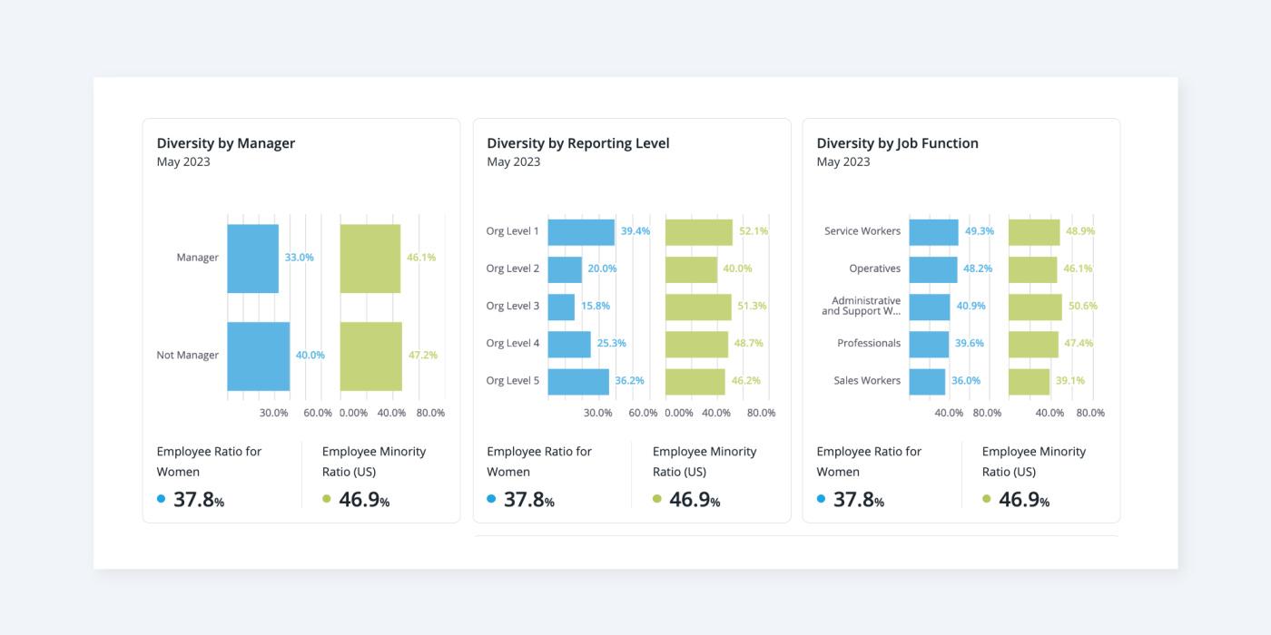 UI example showing a people analytics dashboard with a set of diversity equity and inclusion metrics.