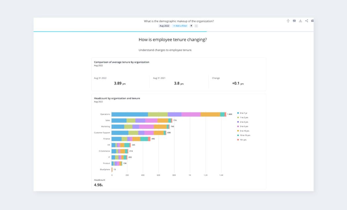diveristy hr dashboard