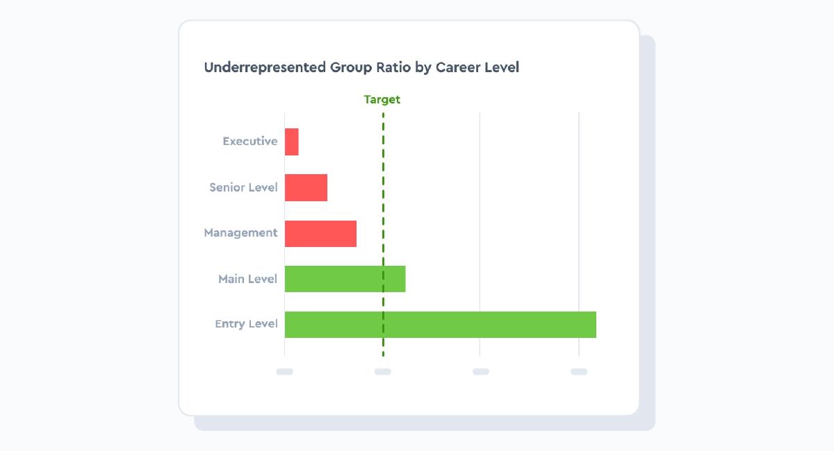 Visier UI Underrepresented Group Ratio by Career Level