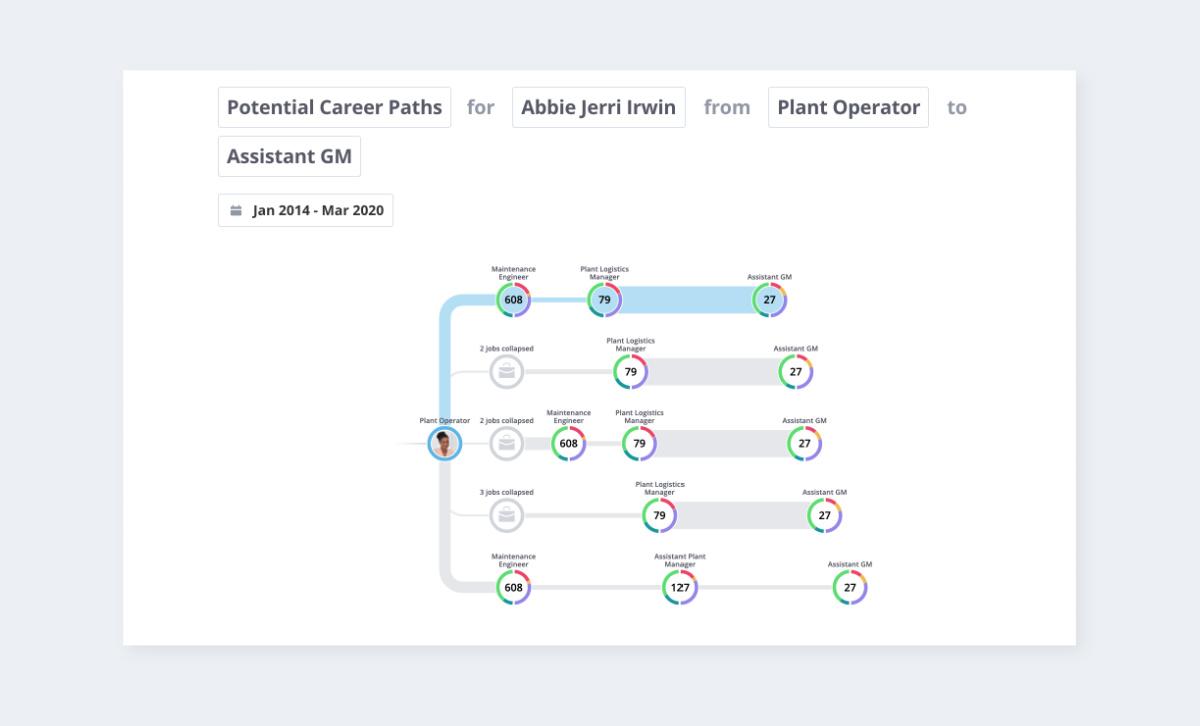 Career path visualization chart