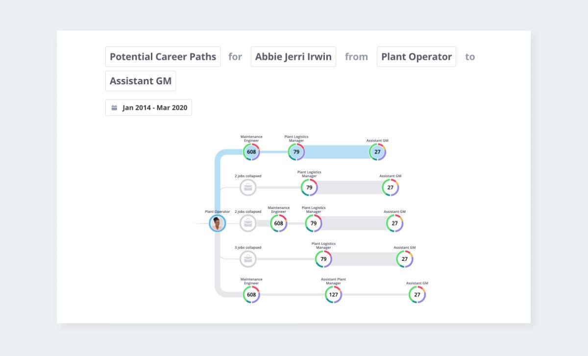 Report presenting potential career paths for a specific employee