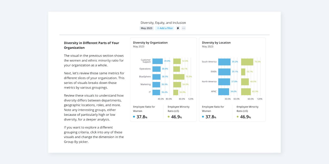 People analytics dashboard showing diversity, equity, and inclusion metrics.