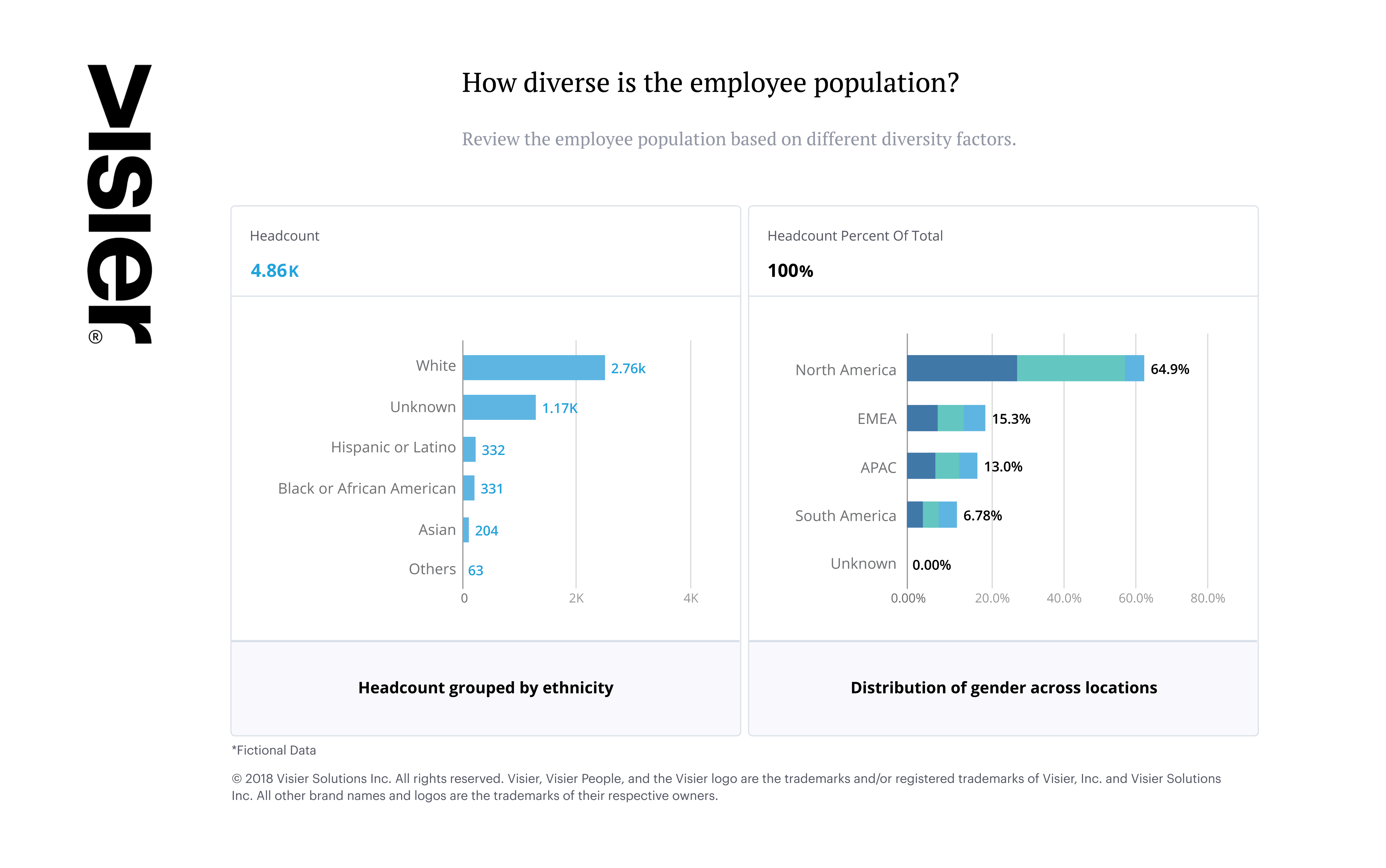 Data visualization showing the breakdown of diversity in a fictional organization's workforce