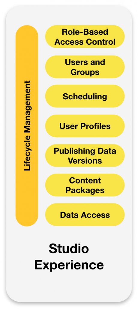 Visier Studio experience diagram