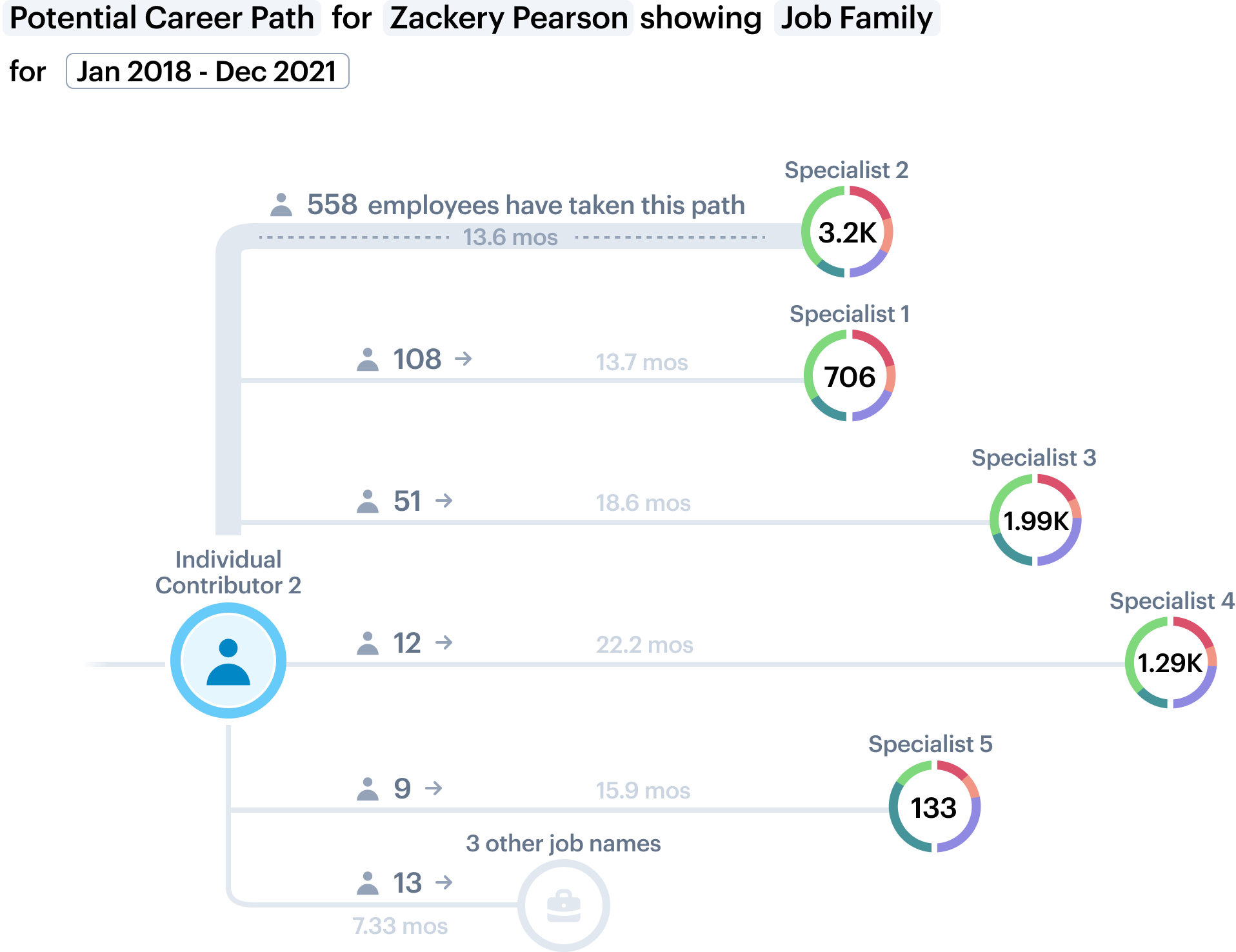 data visualization individual career path Icon